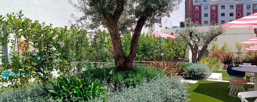 Mejores empresas de jardinería en Madrid Norte
